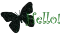 butterfly hello