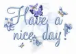 Have A Nice Day