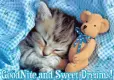 Sleepy