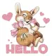 hello bunny
