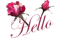 hello