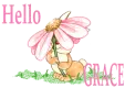 Hello