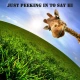 hi giraffe
