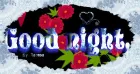good night