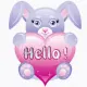 hello bunny