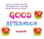Goog afternoon