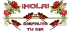 hola disfruta tu dia