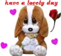 puppy have a lovley day