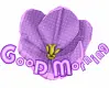 Good Morning