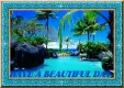Have A Beautiful Day