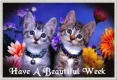 have a great week