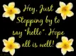 hi hello