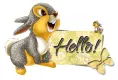 Hello