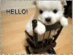 Hello!