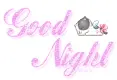 Good Night