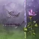Good evening!