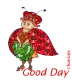 Lady bug