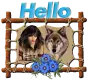 Hello