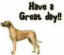 have a great day