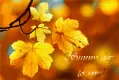 Sunny day to you!