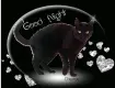 Good night