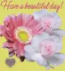 Have a Beautiful day