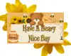 have a Beary Day