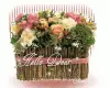Hello Dear
