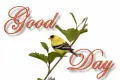 Good day