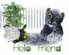Hello Friend