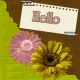 hello