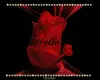 Hello