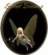 Sweet dreams