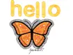 Hello Butterfly