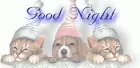 Good Night