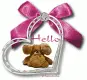 Hello