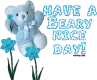 Have a beary nice day!