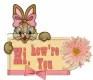 Hi,