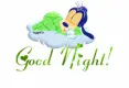 good night