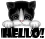hello