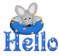 Hello