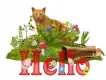 Hello