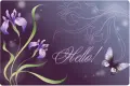 hello!