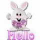 Hello