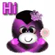 Hi