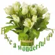 Have a wonderful day