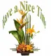 Have a nice time