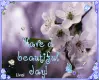 Have a beautiful day!