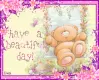 Have a beautiful day!