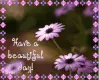 Have a beautiful day!